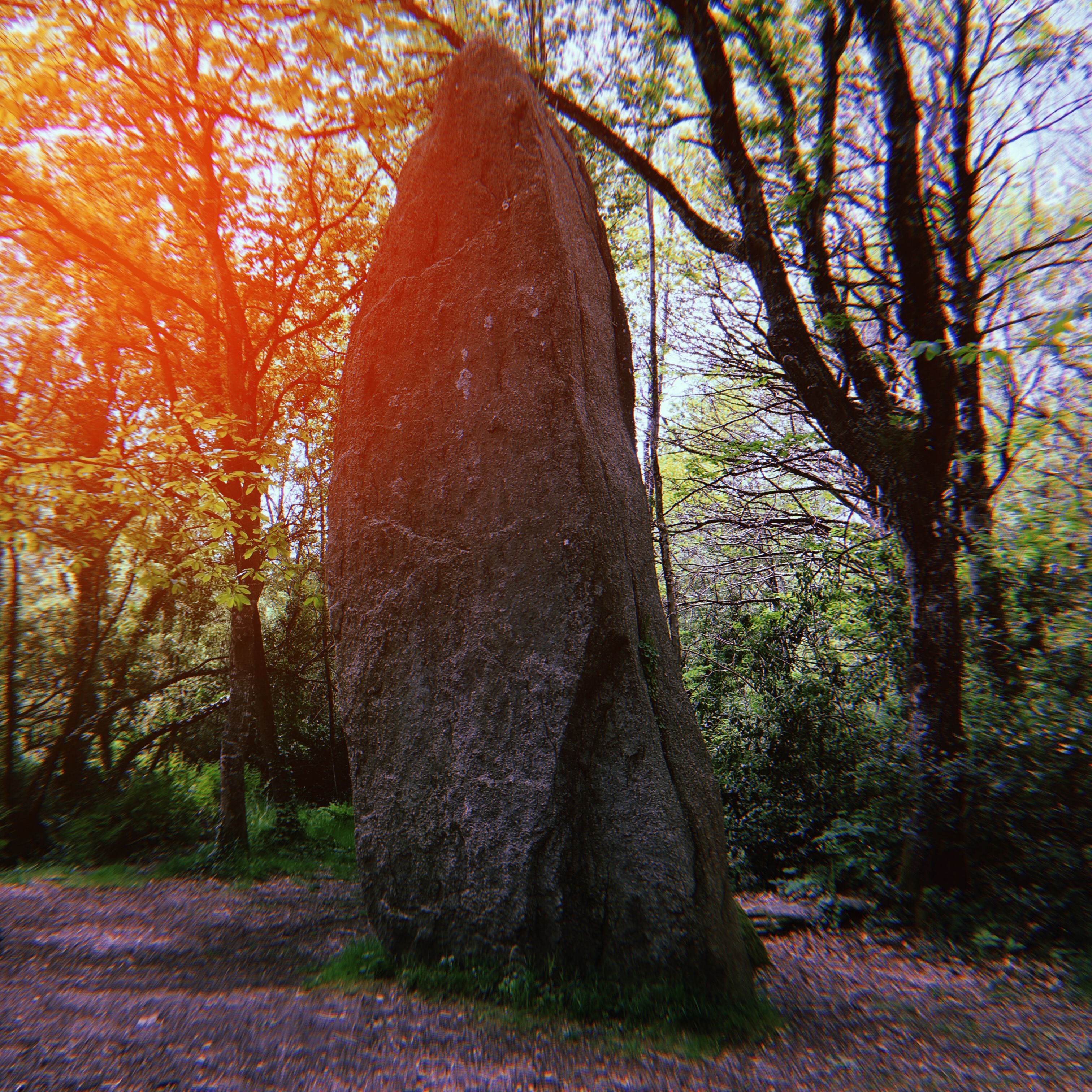 picture of Menhir